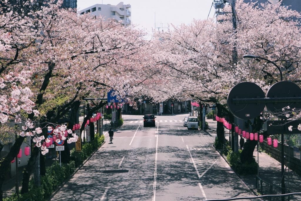 Nakano dori-places to take photos in Japan