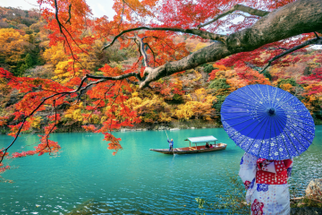 Temporadas de Japón para viajar | Hermosas hojas de otoño de Tokio