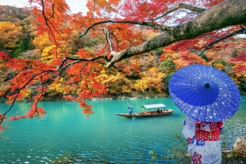 Japan seasons to travel | Tokyo's Beautiful Autumn Leaves