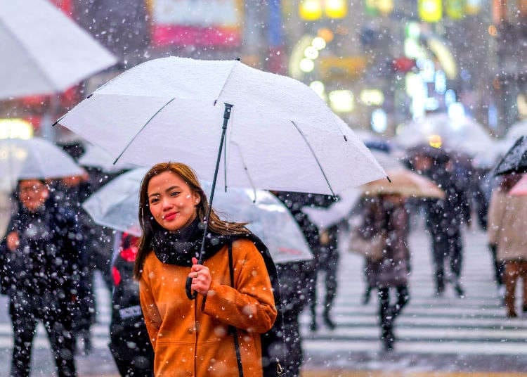Complete Guide To Visiting Japan In February 2022: Weather, What To See &amp; Do | LIVE JAPAN travel guide