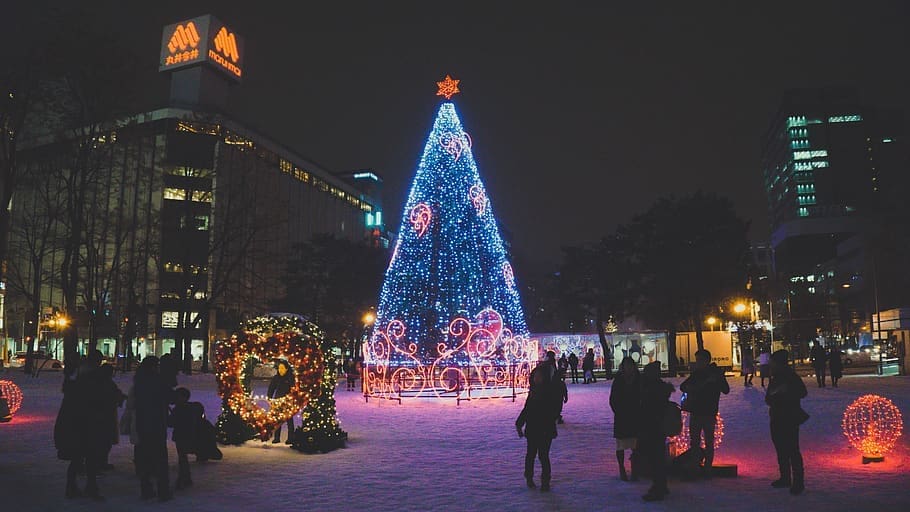HD wallpaper: japan, sapporo, winter, snow, busking, christmas, asian, christmas tree | Wallpaper Flare