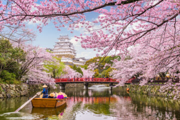 Cerezos en Flor en Japón