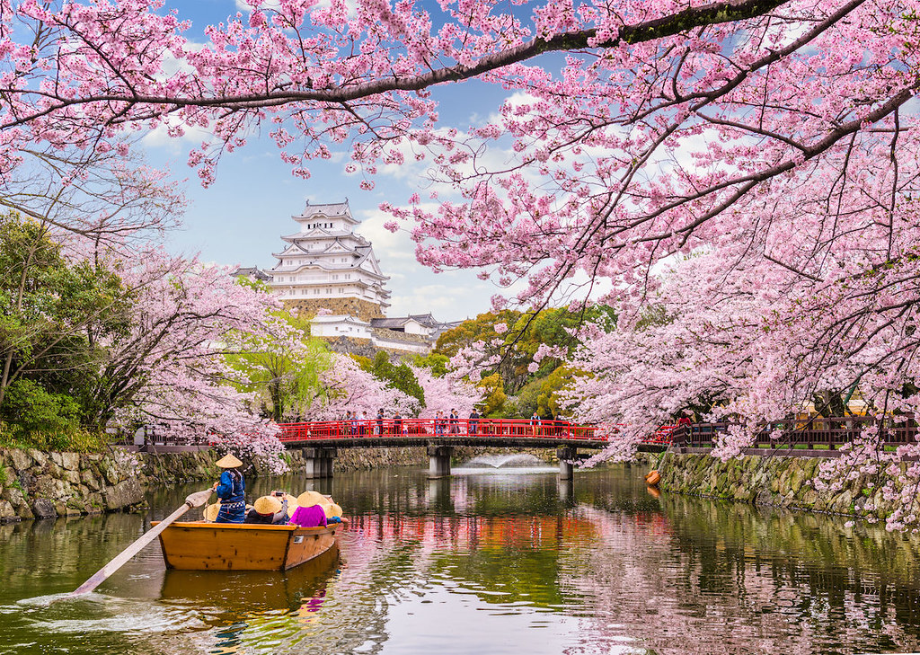 Cerezos en Flor en Japón